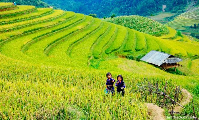 Ruộng bậc thang Móng ngựa