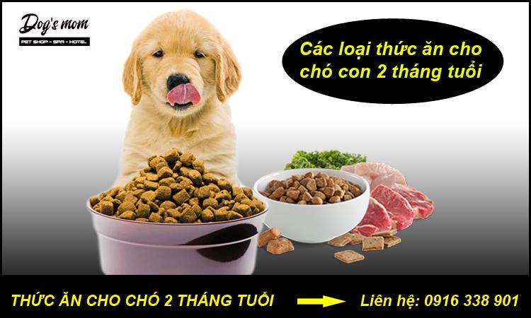 Các loại thức ăn cho chó 2 tháng tuổi