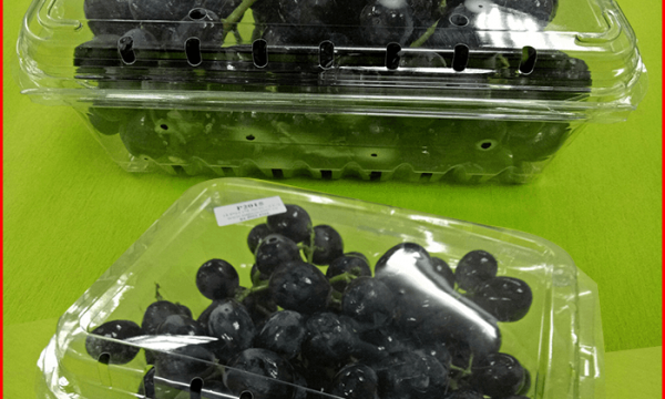 Hộp nhựa đựng trái cây: Lợi ích và phân loại