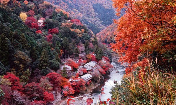 Mùa Lá Đỏ ở Nhật Bản: Một Vẻ Đẹp Huyền Diệu