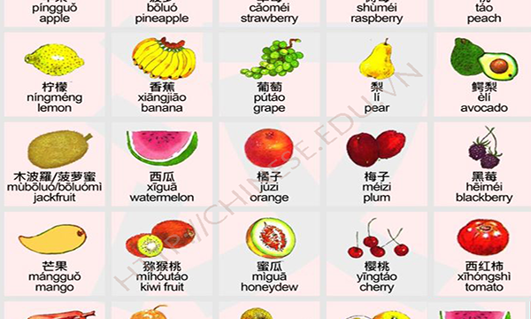 Từ vựng tiếng Trung các loại trái cây