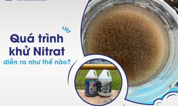 Quá trình khử Nitrat: Giải phóng nguồn nước thải từ Nitrat đến Nitơ tự do