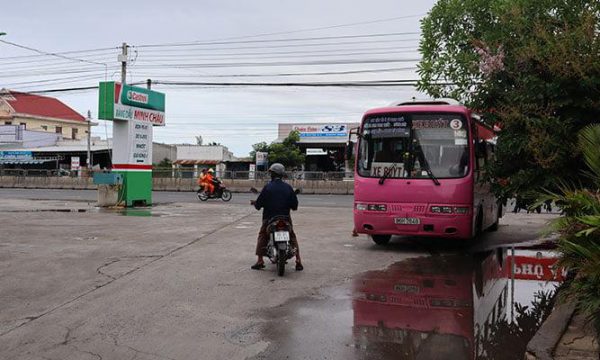 Xe buýt Bình Thuận, tổng hợp chi tiết thông tin và lộ trình
