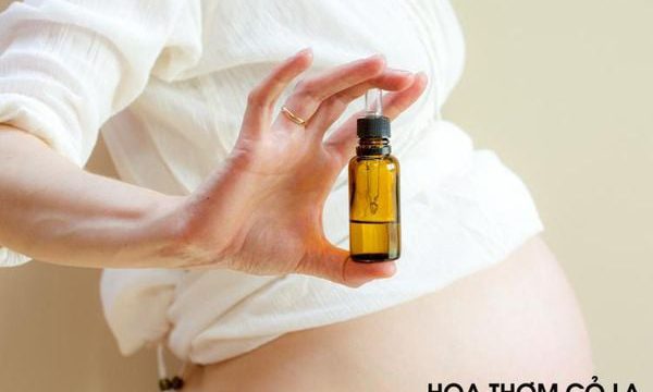 Phụ nữ mang thai có nên sử dụng tinh dầu Sả Chanh không?