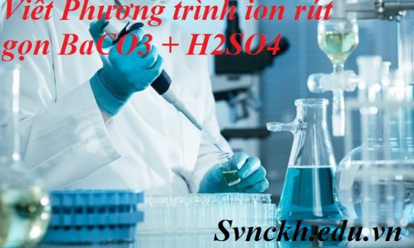 Viết Phương trình ion rút gọn BaCO3 + H2SO4: Giải quyết các bài tập hóa học dễ dàng hơn