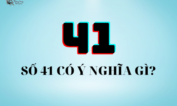 Số 41 có ý nghĩa gì? #3 ý nghĩa biển số xe 41 có thể bạn chưa biết