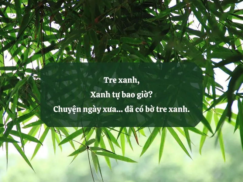 18 bài thơ cây tre Việt Nam: Tình yêu quê hương, đất nước