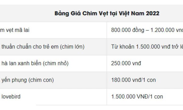 Bảng giá mua chim vẹt tại thị trường Việt Nam