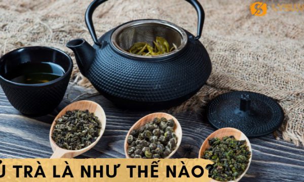 Hãm trà là gì? Cùng cách ủ trà NGON đúng chuẩn