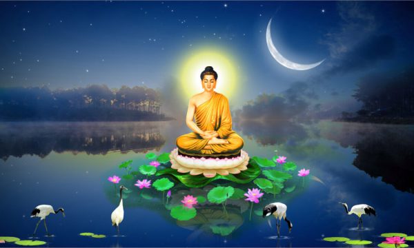 Mang lại bình an và may mắn với hơn 100 hình ảnh Phật đẹp 3D