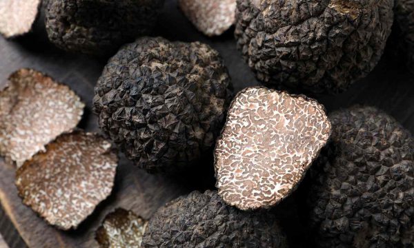 Tìm hiểu về nấm truffle – Nguyên liệu thượng hạng đắt nhất thế giới