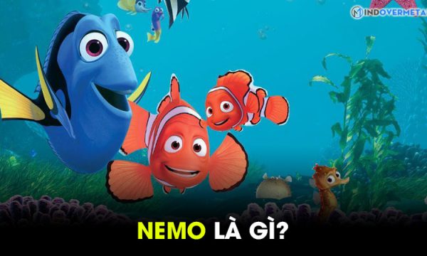 Nemo – Biệt danh Tiếng Anh độc đáo và ý nghĩa