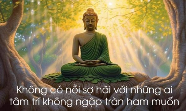 100+ câu nói hay của Phật về đời, tình yêu, nhân quả đáng ngẫm