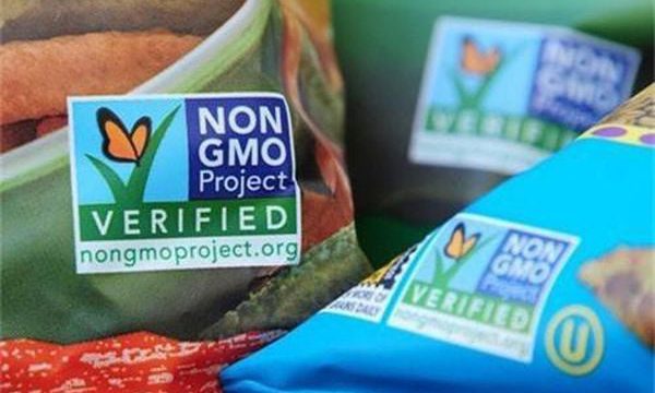 Giấy chứng nhận Non GMO có quan trọng không ? – TCI Vietnam