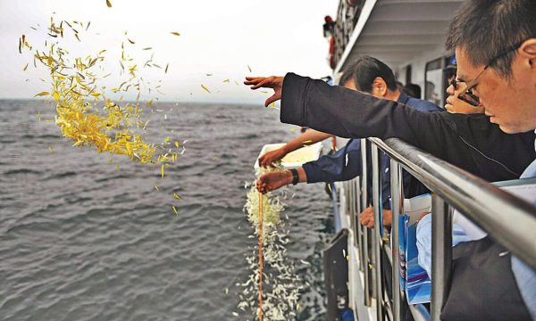 Rải tro cốt xuống biển Vũng Tàu – Một hành động văn minh và bảo vệ môi trường