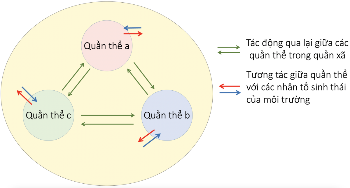 Quần xã sinh vật