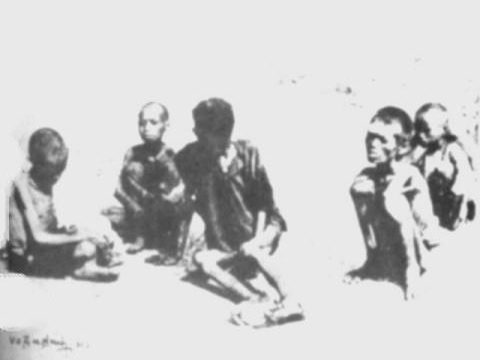 Nạn đói 1945 tại Thái Bình: Khủng khiếp và bi thương