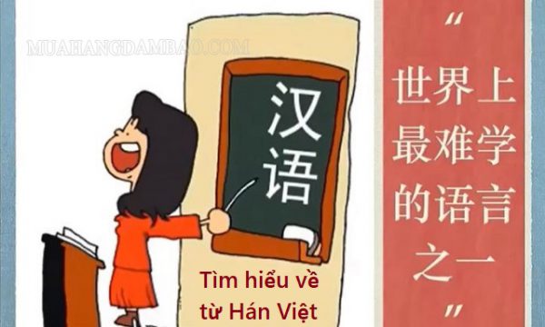 Từ Hán Việt là gì? Ví dụ những từ Hán Việt thường gặp và giải nghĩa