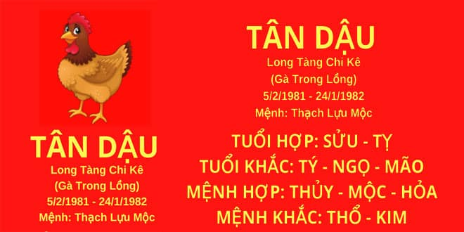 Xem tử vi tuổi Tân Dậu 1981 nam mạng