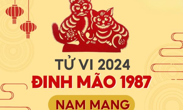 Tử vi tuổi Đinh Mão 1987 năm 2024 – Điểm nhấn và lời khuyên hữu ích