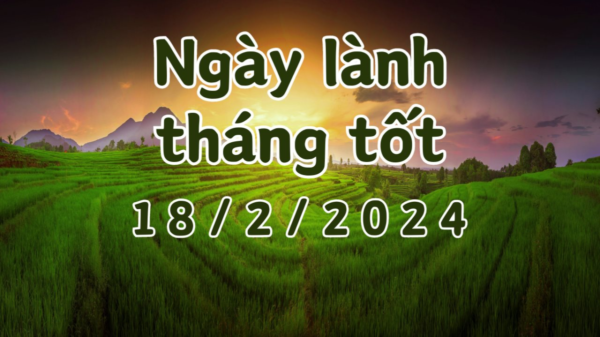 xem-ngay(1).png