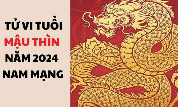 Tử Vi Mậu Thìn 1988 Nam Mạng Vào Năm 2024: May Mắn Đến Với Sự Nghiệp, Tài Vận, Tình Duyên