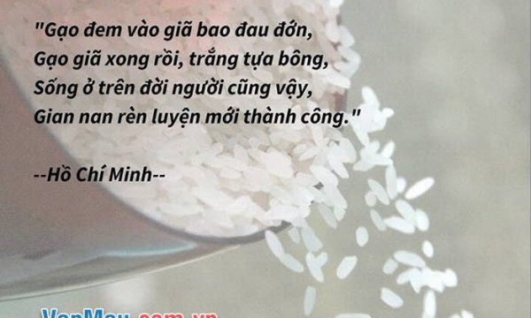 Ý Nghĩa Của Bài Thơ “Nghe Tiếng Giã Gạo” Của Hồ Chí Minh