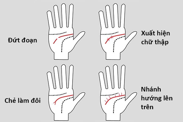 Các dạng đường học vấn thường gặp và ý nghĩa của chúng