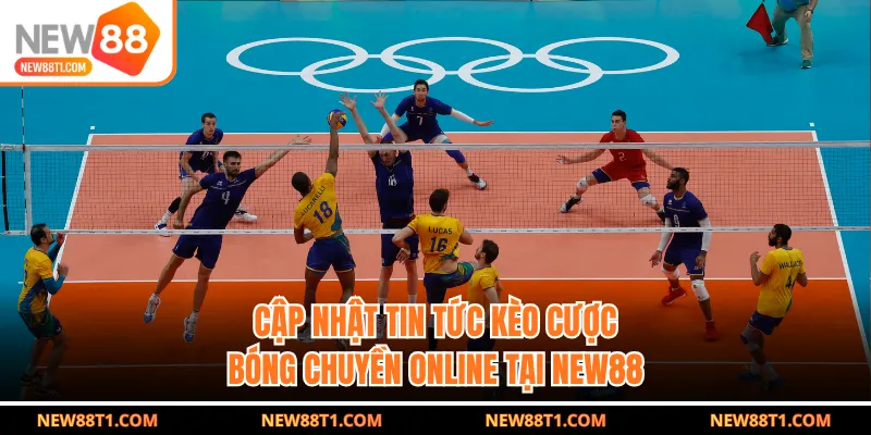 Cập nhật tin tức kèo cược bóng chuyền online tại NEW88