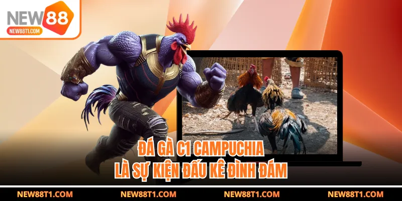 Đá gà C1 Campuchia là sự kiện đấu kê đình đám