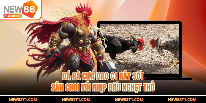 Đá Gà Cựa Dao C1 Gây Sốt Sân Chơi Với Nhịp Đấu Nghẹt Thở