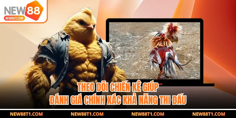 Theo dõi chiến kê giúp đánh giá chính xác khả năng thi đấu